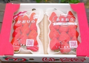 地場産品一例(いちご食べ比べセット)