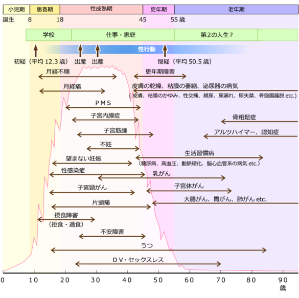 女性のライフステージとホルモン変化