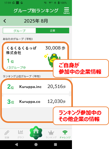 説明画像（企業別ランキング）
