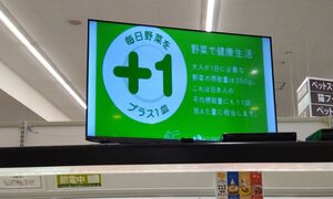 モニターへの動画放映の様子