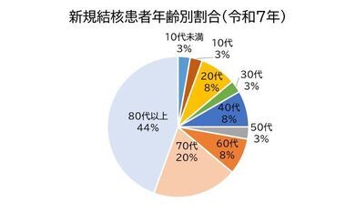 新規結核患者年齢別割合