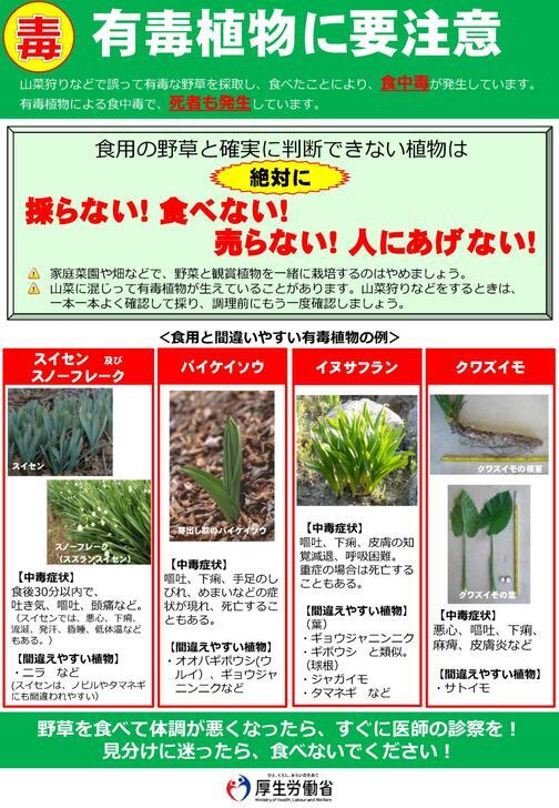 有毒植物による食中毒への注意啓発のチラシ