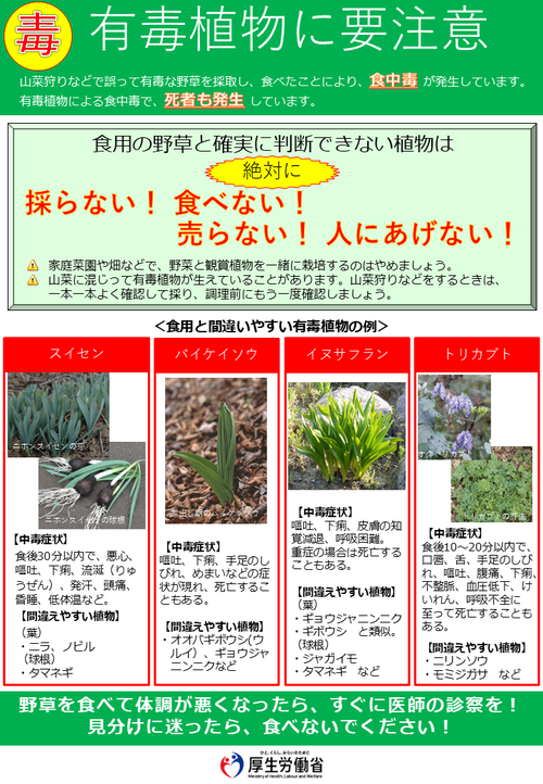 有毒植物に要注意
