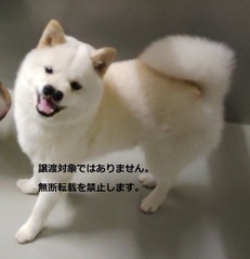 5015