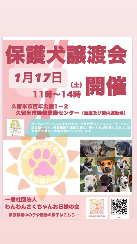 1月17日の保護犬譲渡会のポスターの画像です。