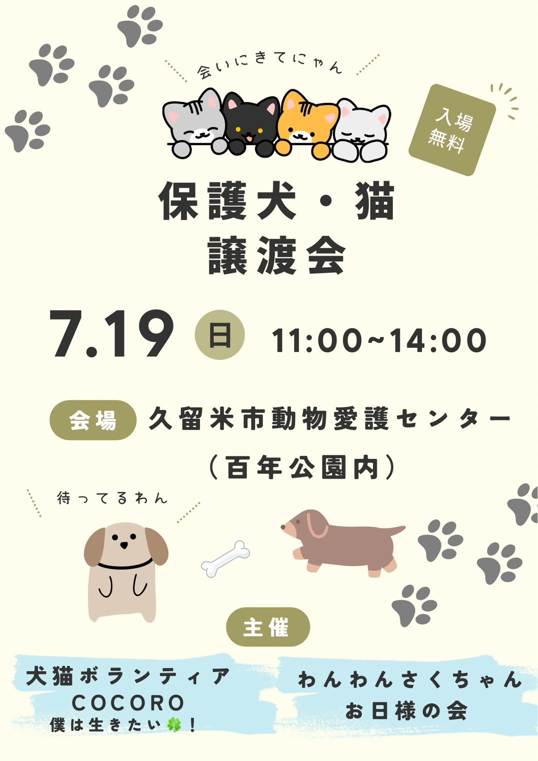 譲渡会のお知らせです