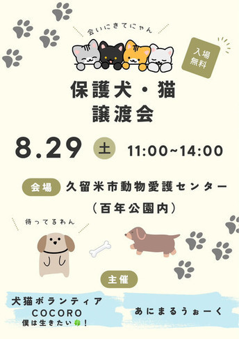8月29日の譲渡会のお知らせです