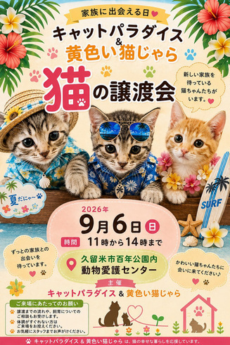 9月6日の譲渡会のお知らせです
