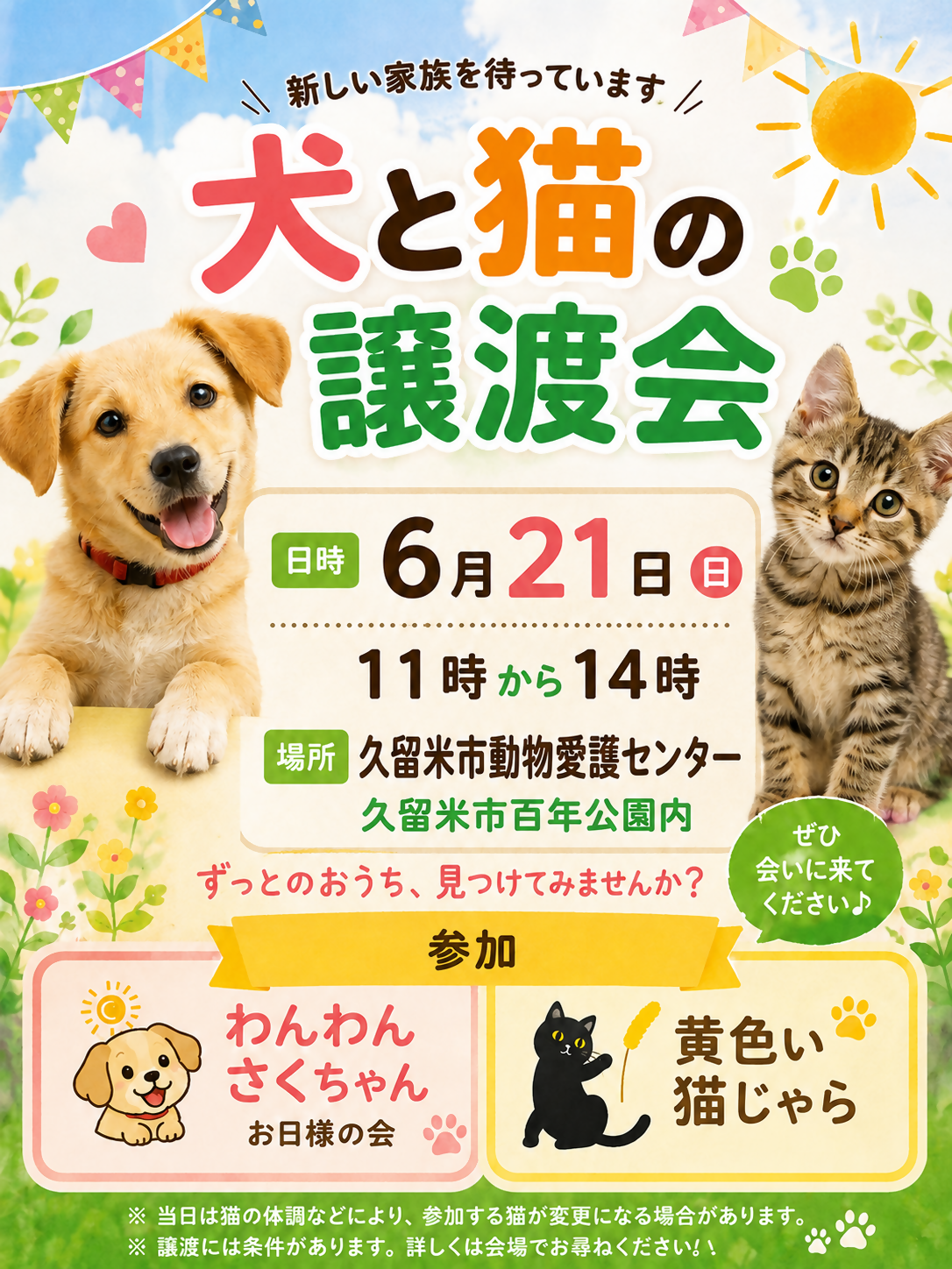 譲渡会のお知らせです