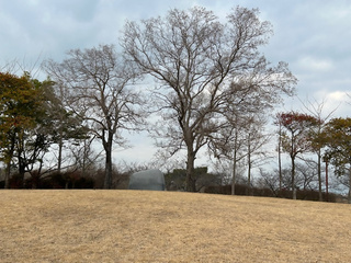 百年公園内の詩碑