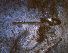 正福寺遺跡出土の直柄付き磨製石斧