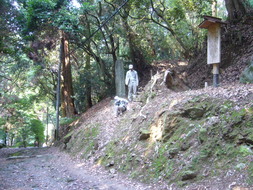 神籠石の列石沿いを歩く