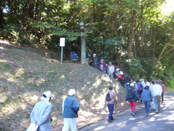 県道沿いの列石