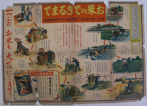 お米ができるまで