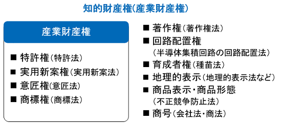 知的財産権の種類。特許権、実用新案権、意匠権、商標権、著作権、回路配置権、育成者権、地理的表示、商品表示・商品形態、商号