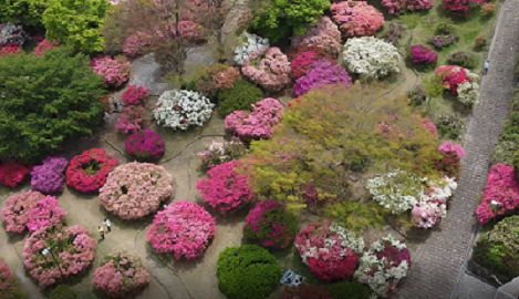 令和６年４月19日に公園を上空から撮影した写真（２枚目）