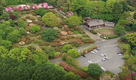令和６年４月26日に公園を上空から撮影した写真（１枚目）