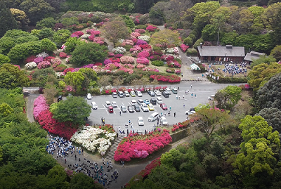 令和６年６月19日に公園を上空から撮影した写真（１枚目）