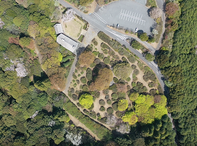 令和７年４月８日に公園を上空から撮影した写真（１枚目）