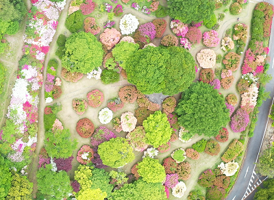 令和７年５月１日に公園を上空から撮影した写真（２枚目）