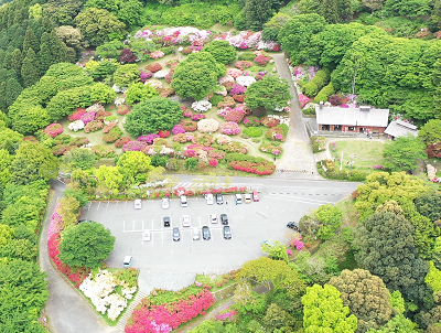 令和７年５月１日に公園を上空から撮影した写真（１枚目）