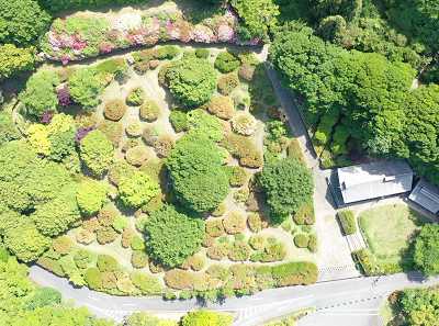 令和７年５月７日に公園を上空から撮影した写真（１枚目）