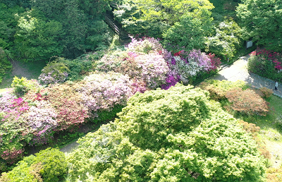令和７年５月７日に公園を上空から撮影した写真（２枚目）