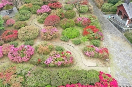 令和８年４月13日に公園を上空から撮影した写真（2枚目）