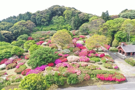 令和８年４月21日に公園を上空から撮影した写真（１枚目）