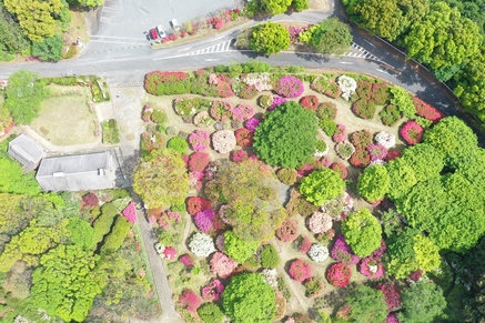 令和８年４月21日に公園を上空から撮影した写真（2枚目）