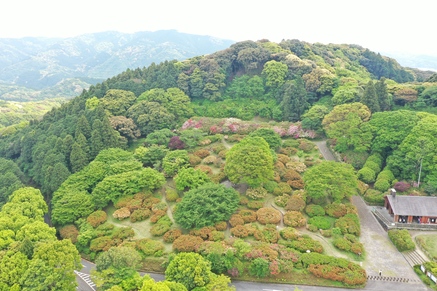 令和８年5月1日に公園を上空から撮影した写真（1枚目）