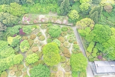 令和８年5月1日に公園を上空から撮影した写真（2枚目）