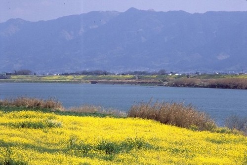 耳納連山と筑後川風景