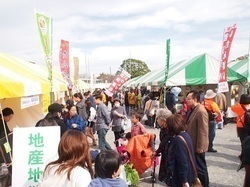 地産地消推進店通り