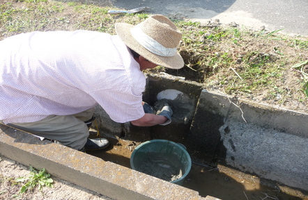 水路で破損している箇所を修繕しています