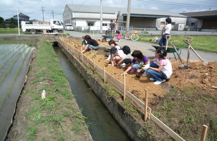 子ども会と合同で景観形成作物を植栽しています