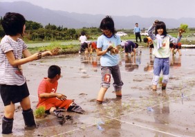 田植え体験