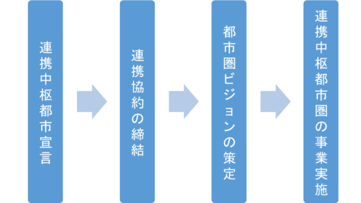 連携中枢都市宣言から事業実施までの流れ