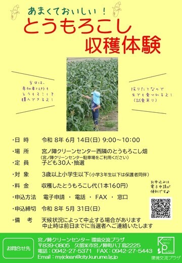 とうもろこし収穫体験のチラシ