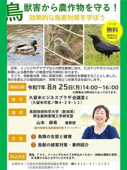 研修会チラシ
