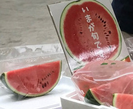 今が旬のスイカ