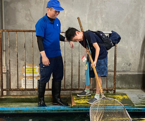 いけすで魚をすくう様子