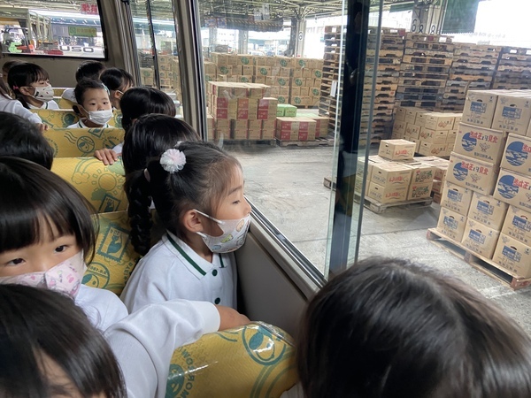 バスの中から野菜入り段ボールの山を見る幼稚園児の様子