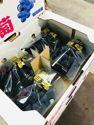 ブドウの写真