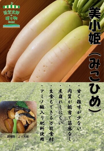 ミニ大根のポスター2枚目