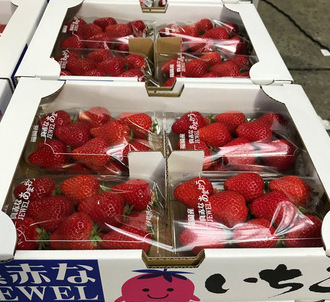 美味しそうな苺の写真