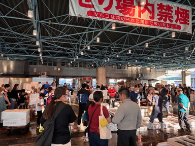 水産物せりの写真
