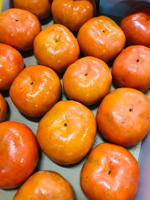 ツヤツヤの柿の写真 栄養満点な柿