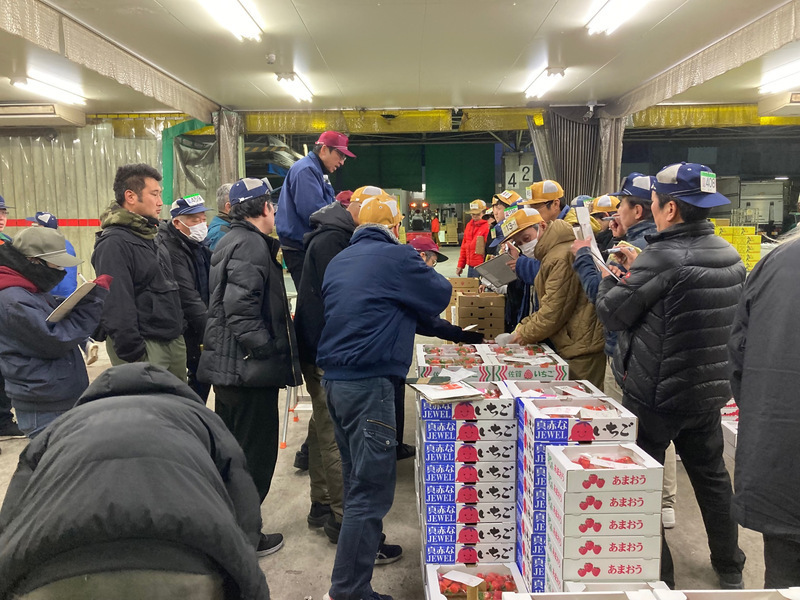 青果物の初せりを行っている写真