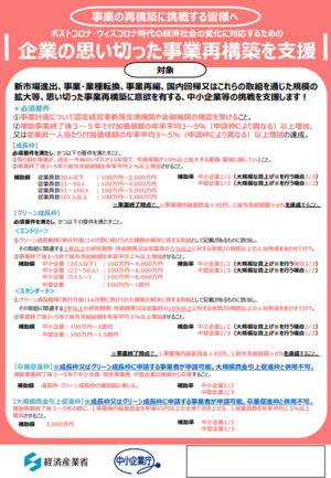 事業再構築補助金チラシ